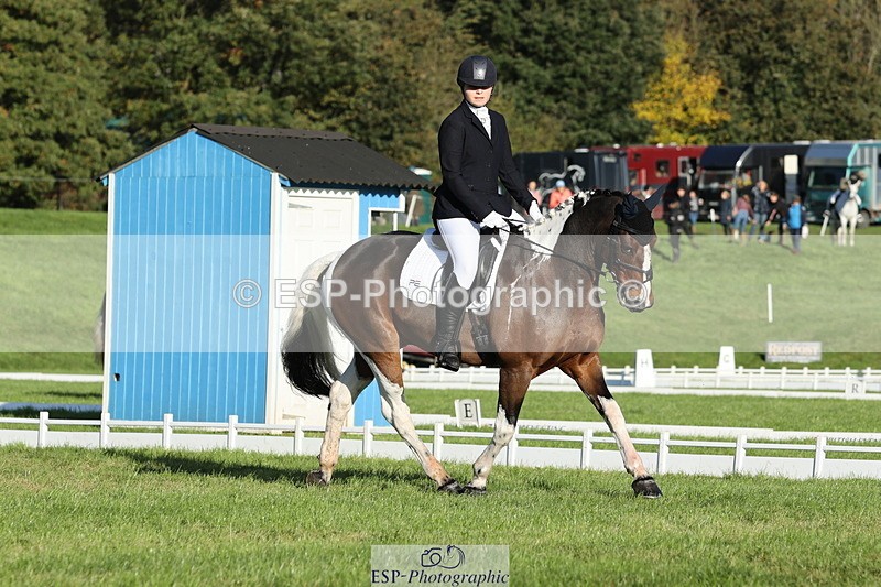 251024A-100339-07648 - D-341-Charlotte.Northcott