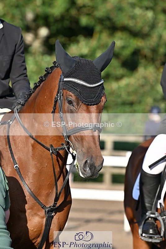 230826-184033-22422 - Juniors