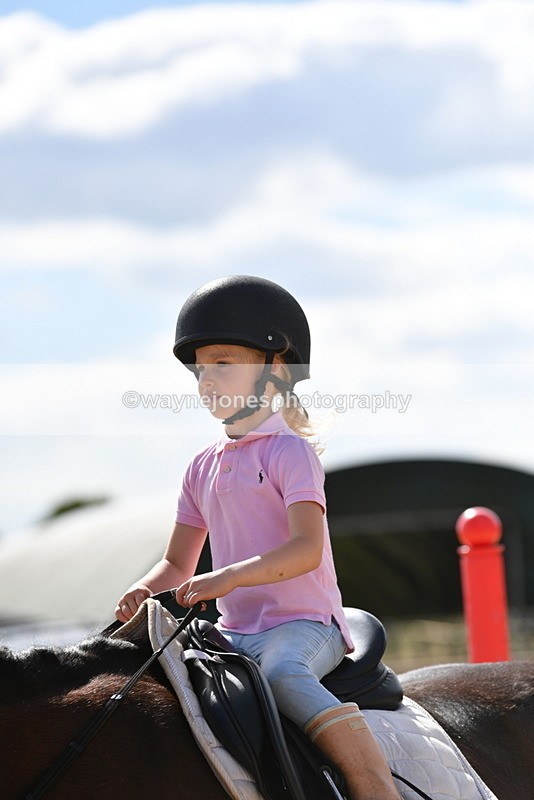 WJ5_5487 - Poles on the Floor