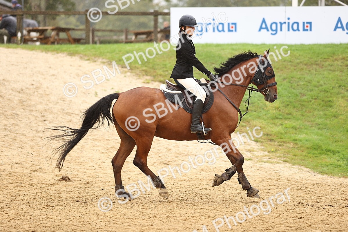 SBM_73311 - J19 - Junior Horse & Pony 90cm Supreme championship