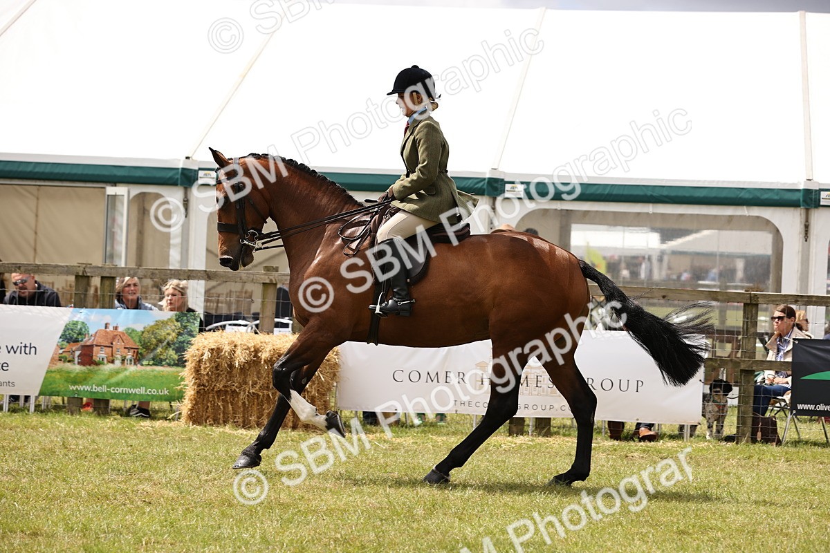 SBM_14674 - Class 88-89 - LIHS BSHA Rising Star of Ridden Hunter Type