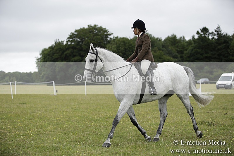 BVR160717-1023 - Ring 1 BVRC Show 16/07/17