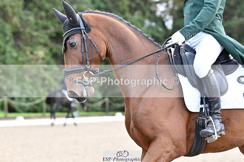 251023A-140606-05148 - C-244-Patrick.Whelan