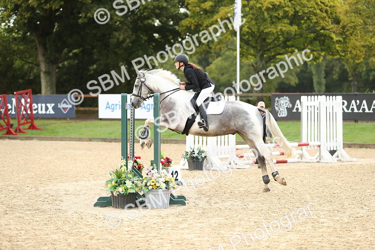 SBM_34184 - J60 Clear Round 50cm