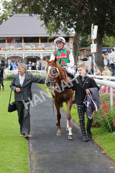 yr18082021r6-39 - Race 6 4.45pm IRE-Incentive It Pays To Buy Irish Stakes