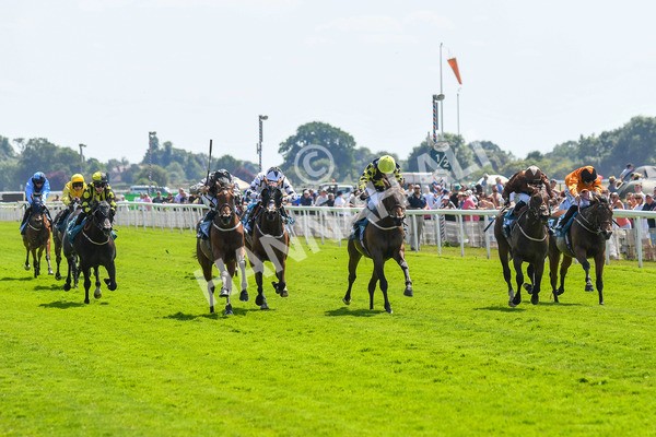 160623-Race 2-Celestial Flight-0283 - Race 2 2.25pm SKF Rous Selling Stakes