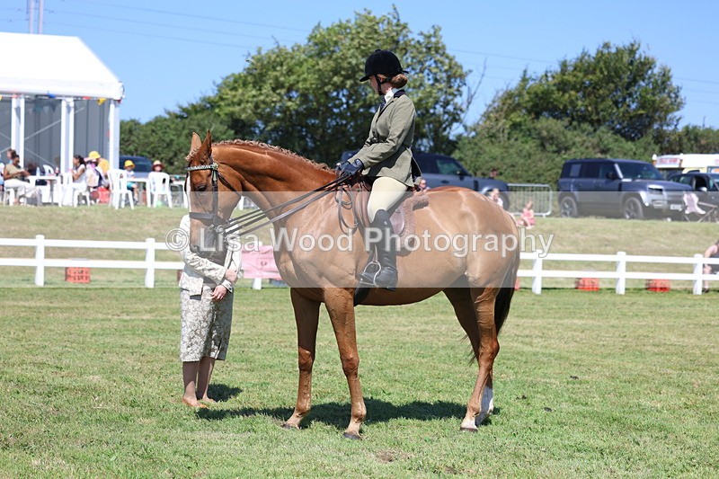 3E7A7817 - Class 7: Open Riding Horse