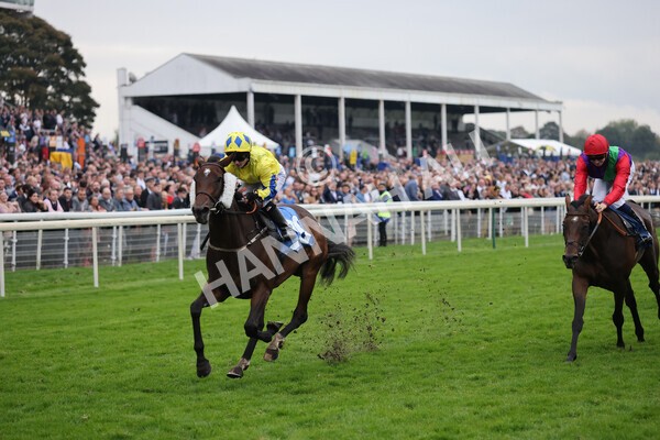 yr09102021r7-24 - Race 7 5.00pm Coral Proud Sponsors Of British Racing Finale Handicap