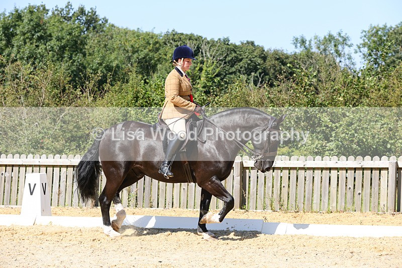 1X9A8094 - Class 11: Open Cob