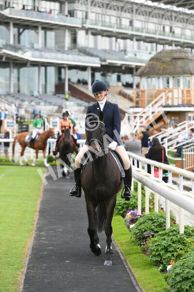 yr22052022r8e-12 - ROR - Parade Ring York