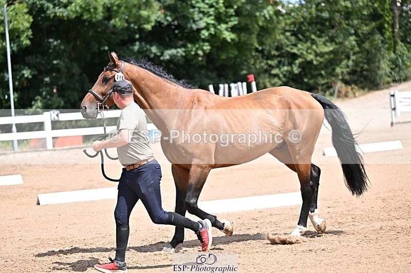 250716-125010-00198 - Trot Up 12.30 to 1.30