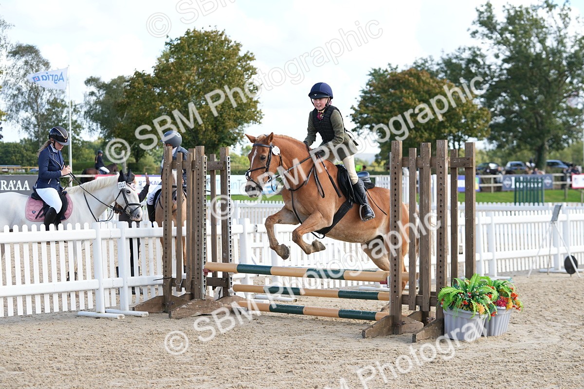 SBM_48457 - J7 - Junior Pony 60cm Championship
