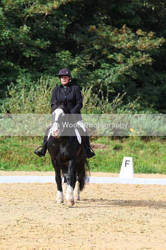 3E7A2345 - Class 1: Intro 4 2024 section A