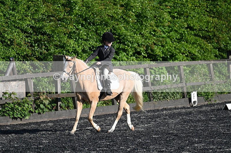 WJ7_4582 - Class 2 Prelim 1