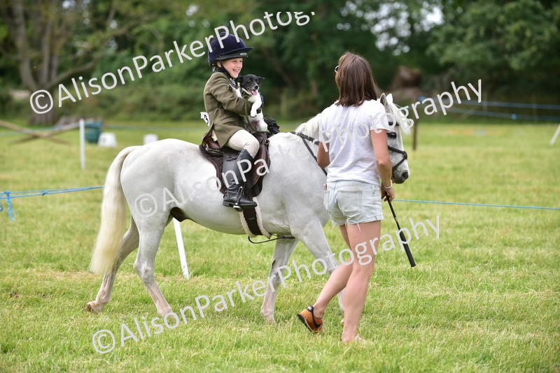 20260614-4536 - Class 19 - Cutest Pony, Rider and Dog Combination