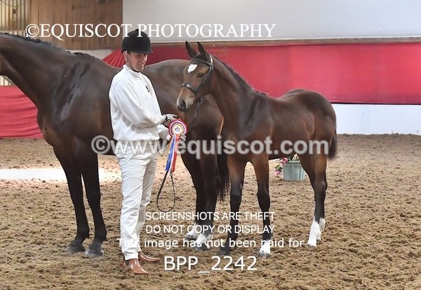 BPP_2242 - AFTERNOON 12.30 - 3.30PM