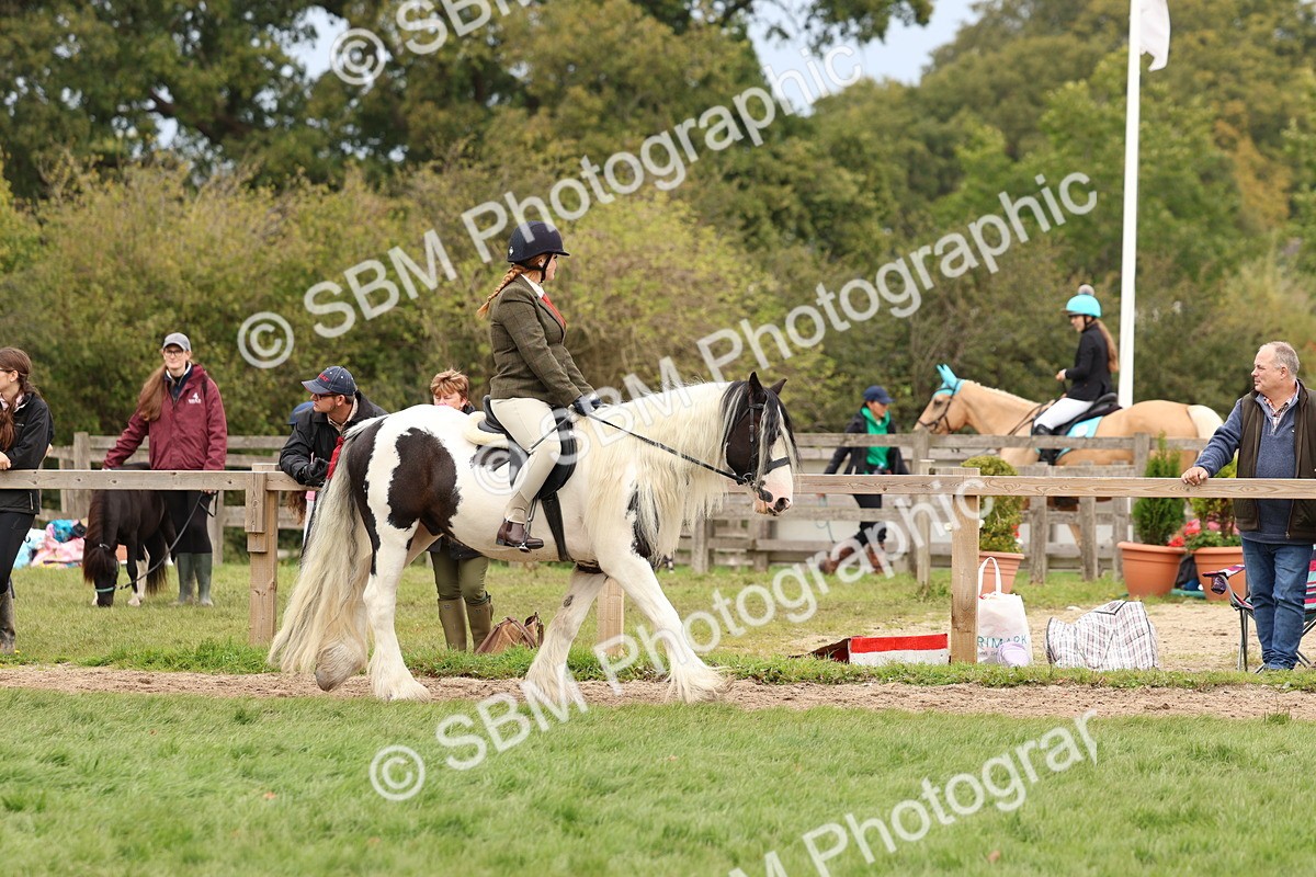 SBM_64404 - S58 - Coloured Pony Ridden