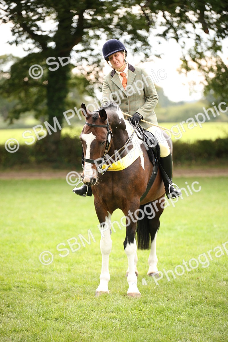 SBM_73651 - Ridden Horse Supreme Championship