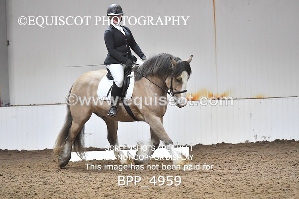 BPP_4959 - INTRO TEST 3