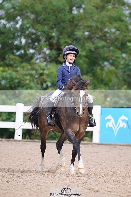 240809A-100004-00389 - Dressage Competition
