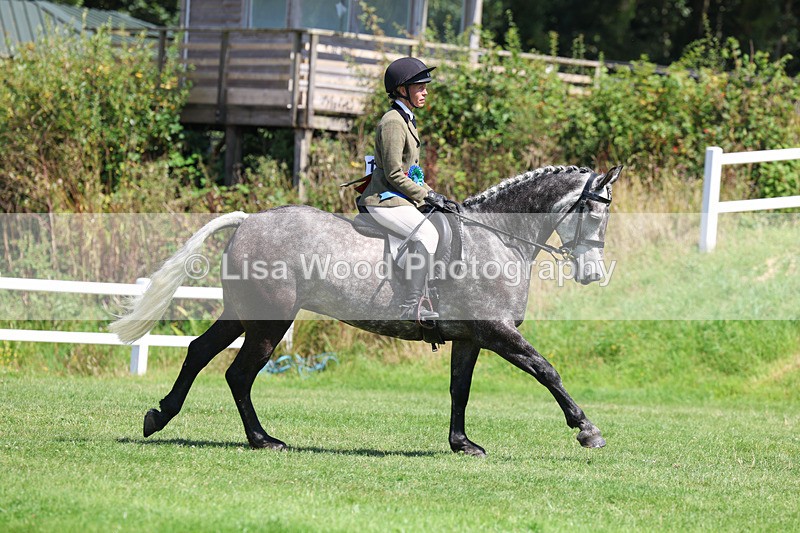 3E7A9152 - Working Hunter Championship