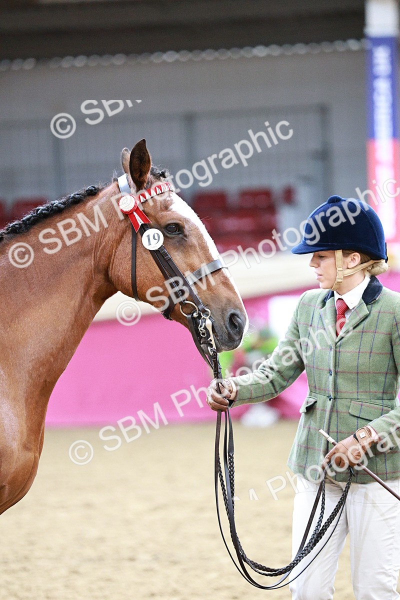 SBM_01193 - Class 3A - Area IH Pre-Vet