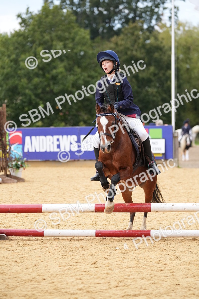 SBM_74742 - J4 - Mini Tour Junior Pony 45cm Championship