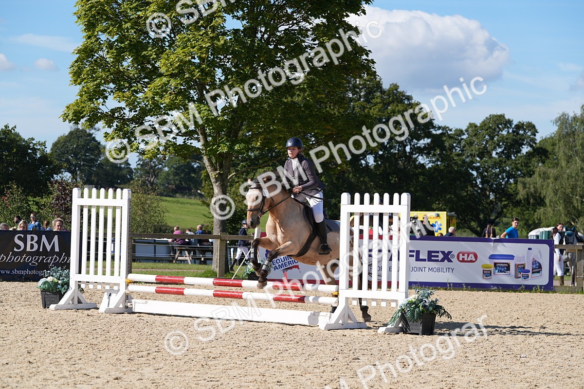 SBM_38625 - J21 - Junior Horse 60cm Championship