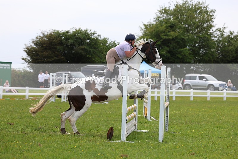 3E7A1684 - Class 13: Senior British Novice/90cm open