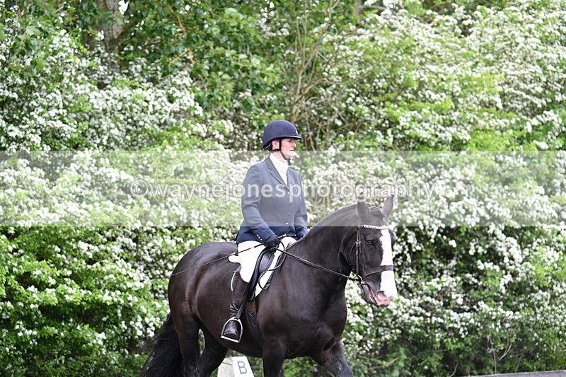 WJ7_8364 - Time 10:30 to 10:51