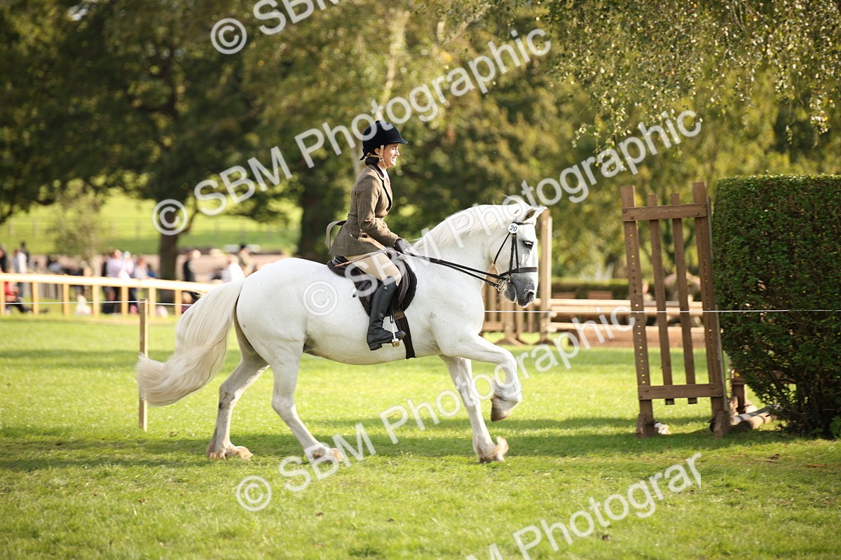 SBM_54247 - S27 - Mature Veteran - Ridden