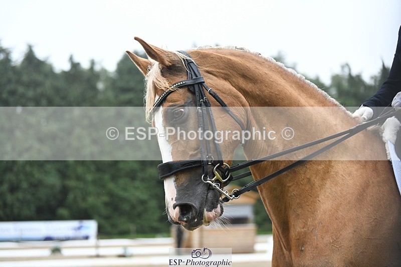 240720-144536-05787 - 187-Clare_Smith-Dori_Dragon_Fly