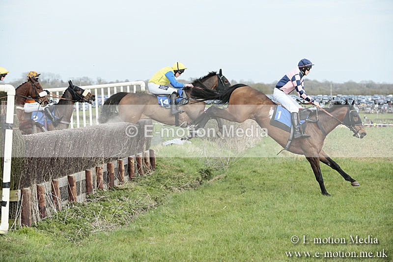 PtP 230319 297 - VWH Hunt Siddington Point-to-Point Racing 23/03/19