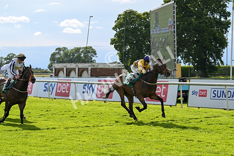 160624-Race 5-American Affair-8976 - Race 5