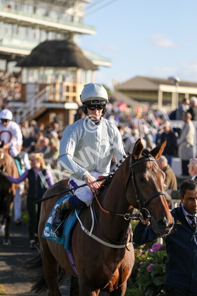 yr08102022r5-16 - Race 5 3.50pm The Coral Committed To Safer Gambling EBFStallions.com Maiden Stakes