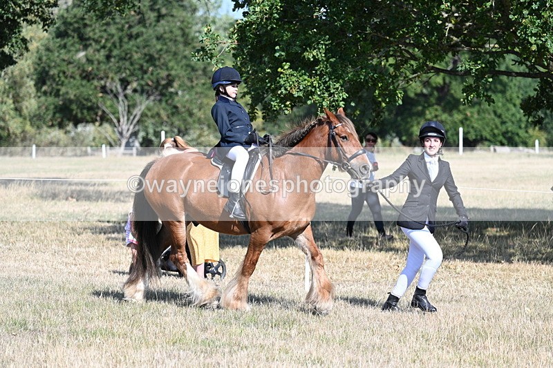 WJ7_2986 - Class 8 Ridden Tack & Turnout