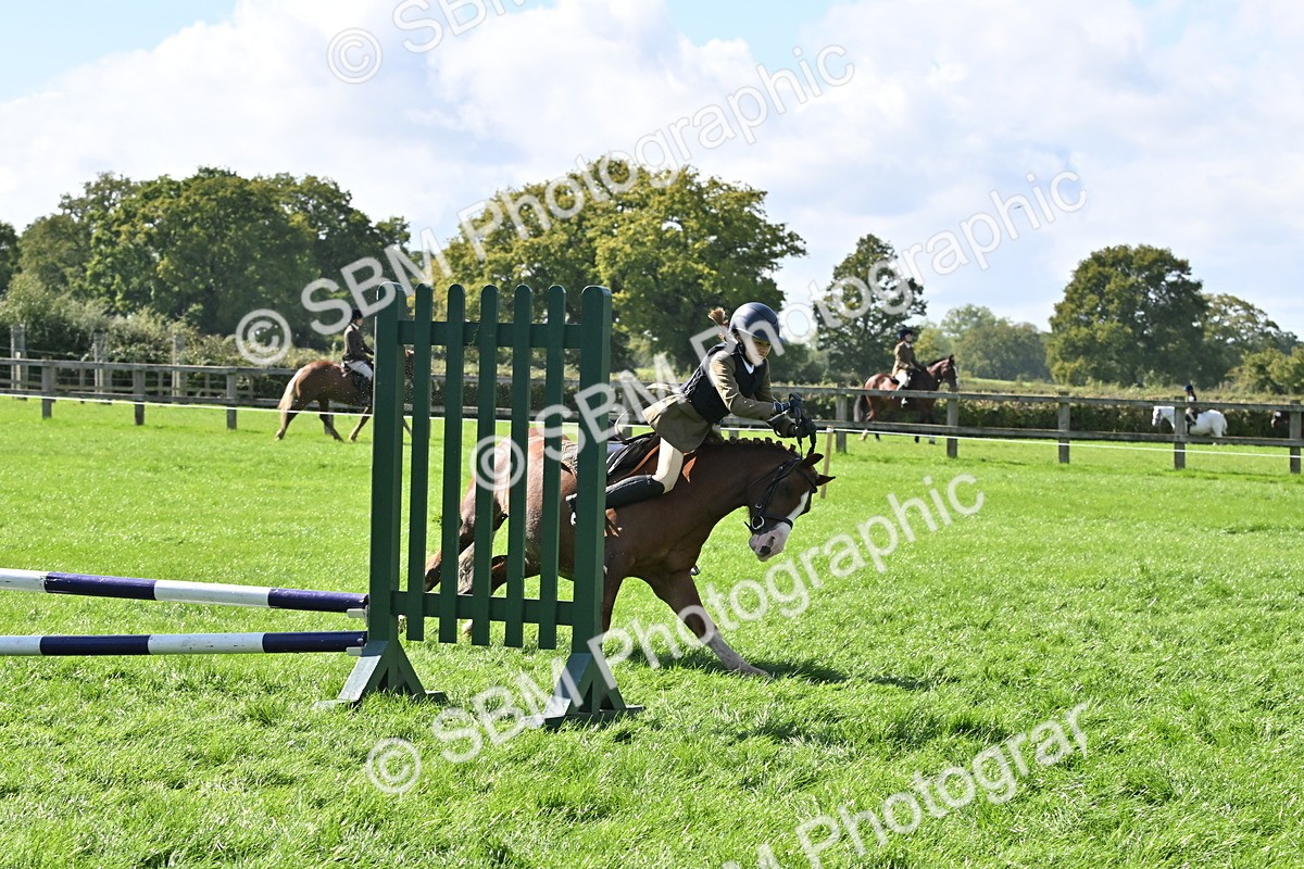 SBM_44532 - S13 - Pony Club Pony