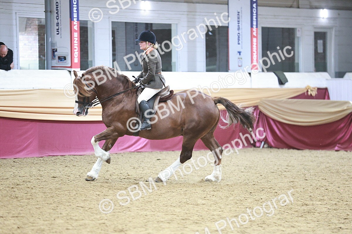 SBM_08930 - Class 12R - Regional Ridden Pre-Vet