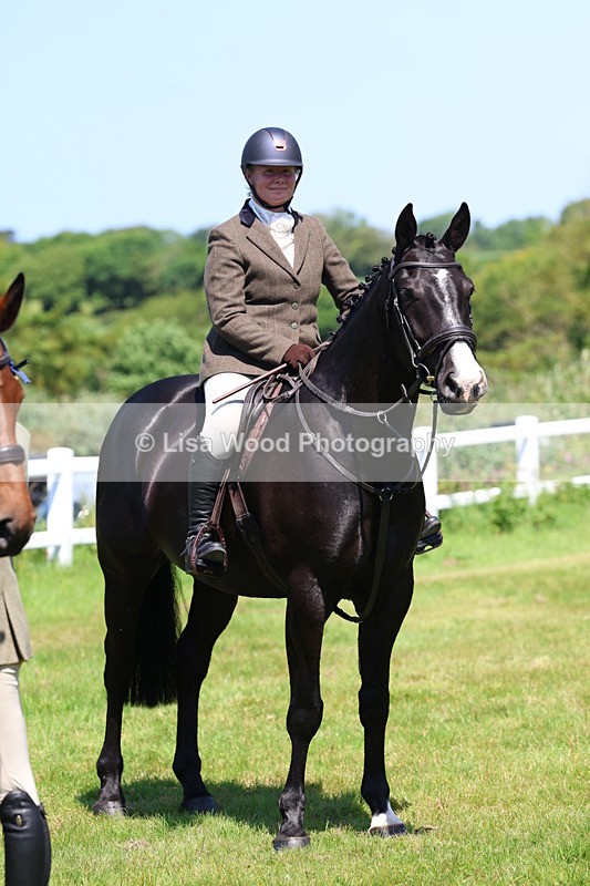 3E7A7377 - Class 30: Novice Working Hunter