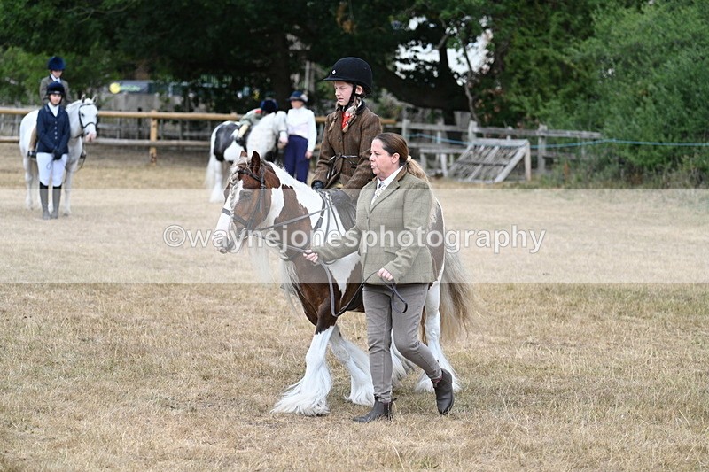 WJ7_6726 - Class 1 Lead Rein Pony