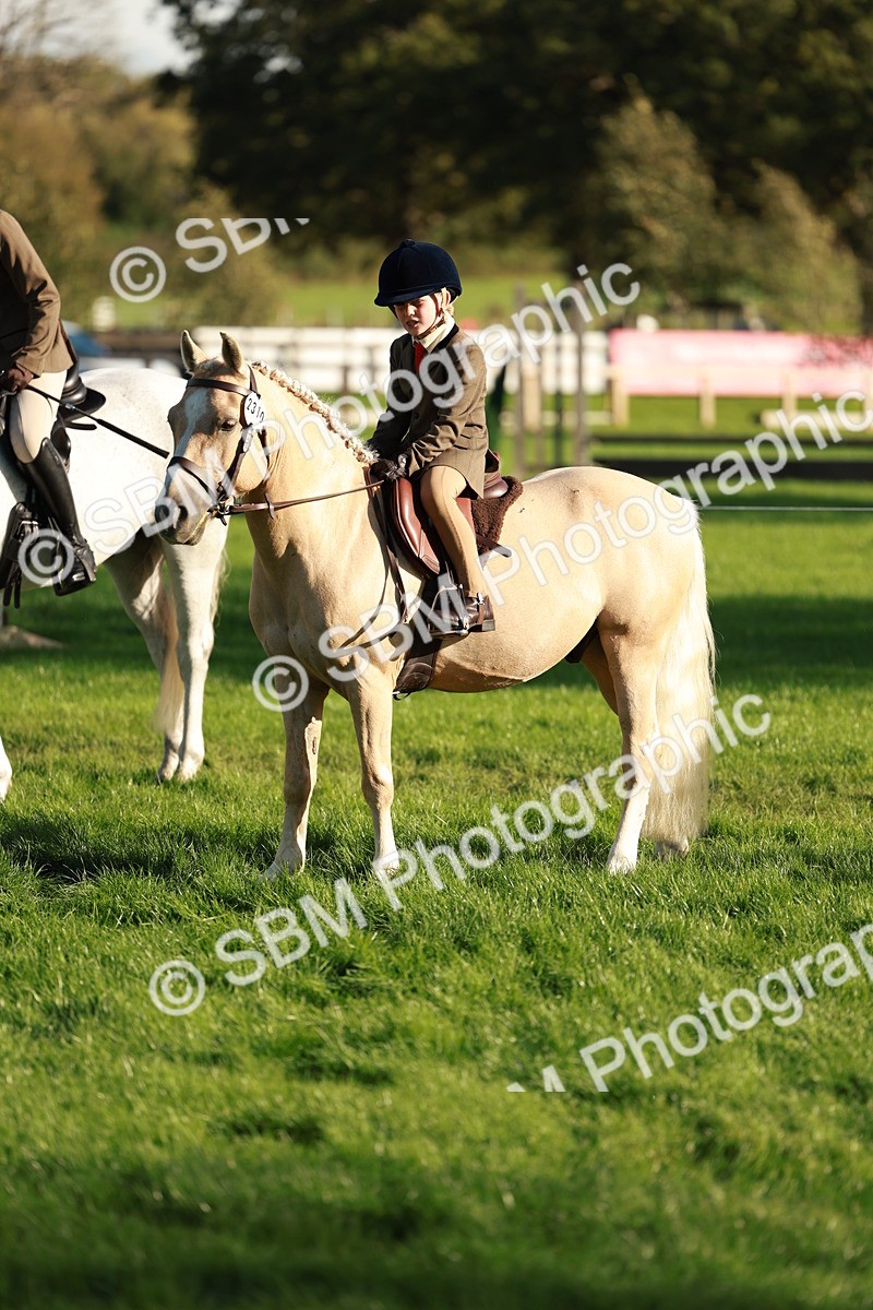 SBM_28741 - S7 - Novice & Newcomer Ridden Pony