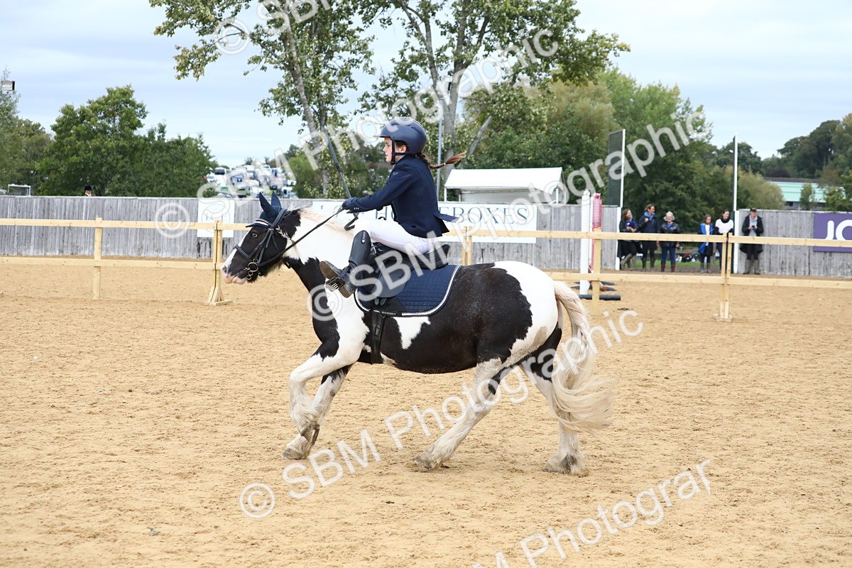 SBM_68200 - J3b - Mini Tour Junior Pony 40cm Championship