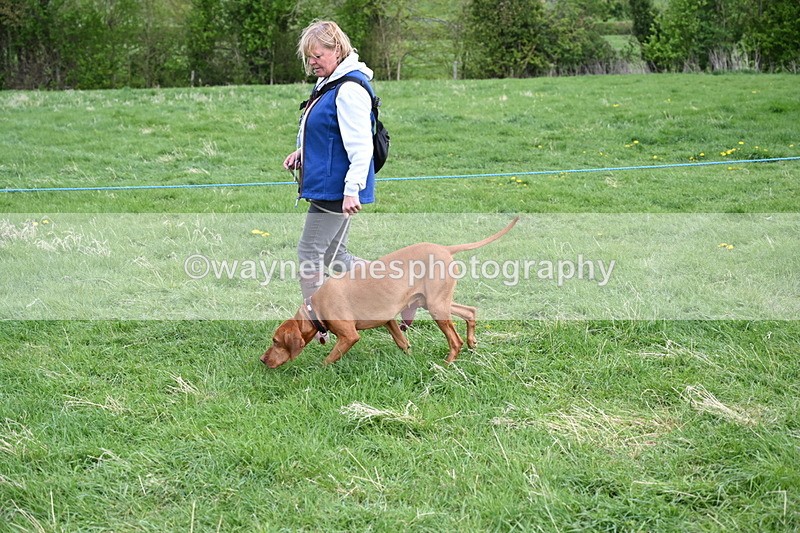 WJ6_8078 - Class 2 Best Pedigree
