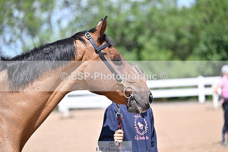 250716-123253-00042 - Trot Up 12.30 to 1.30