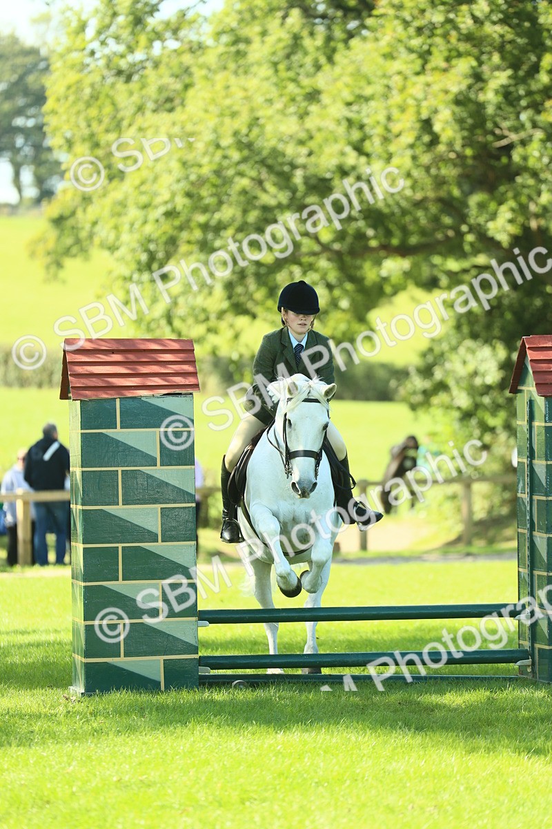 SBM_39185 - S29 - Novice & Newcomers Working Hunter Pony