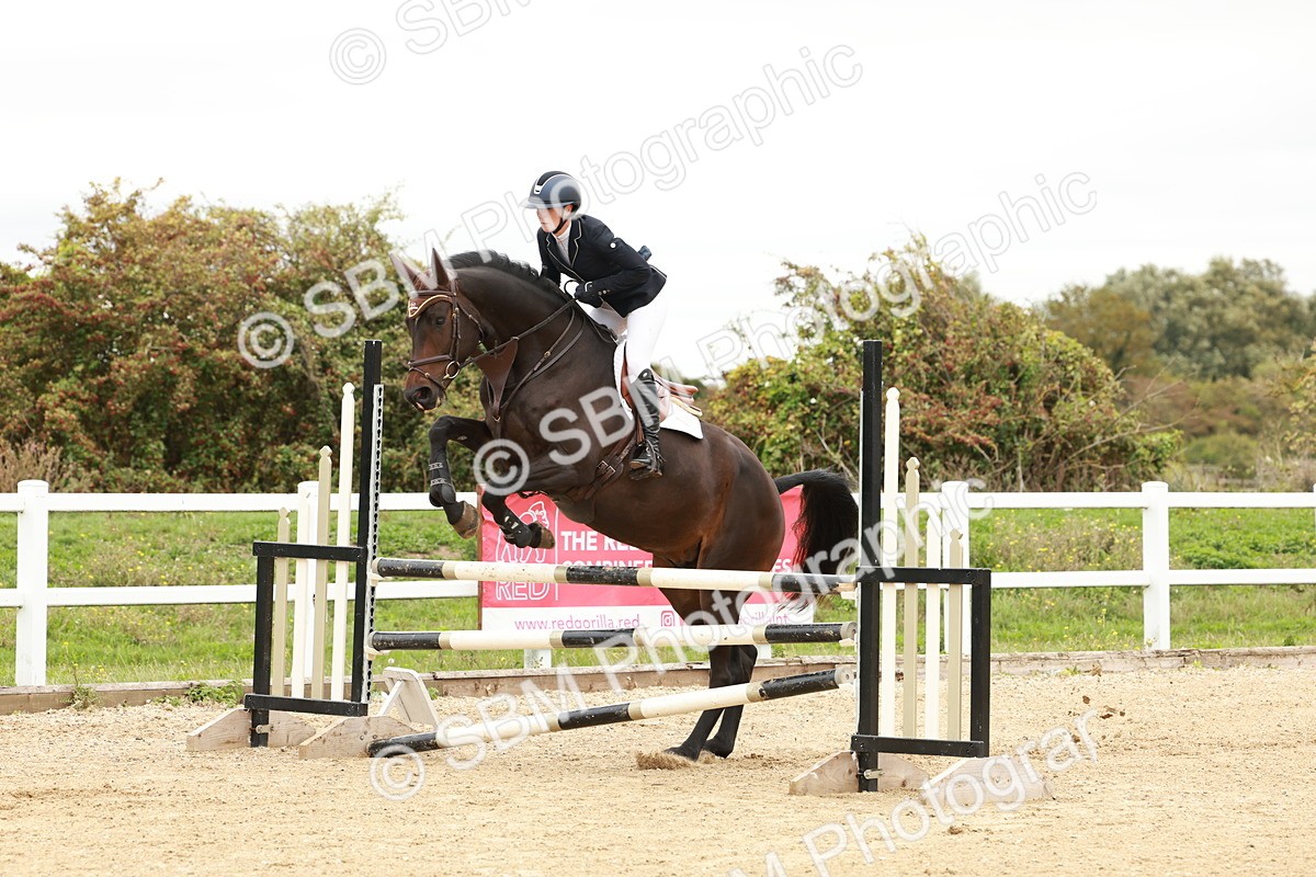 1I0A6843 - Class 2 - Senior British Novice