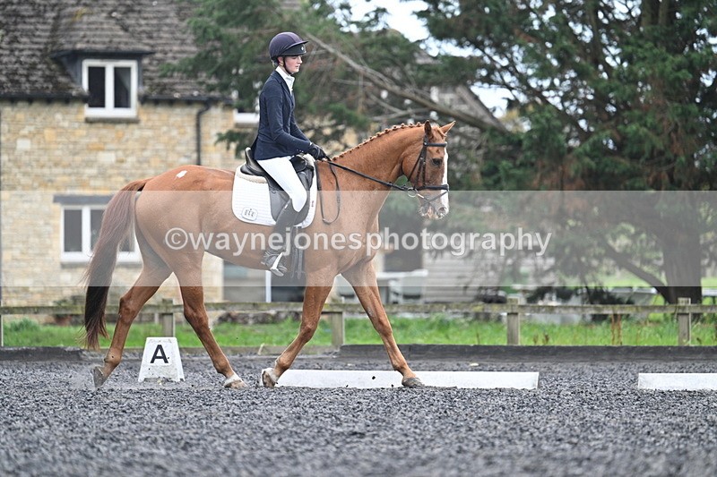 WJ7_6667 - Time 14:49 to 15:14