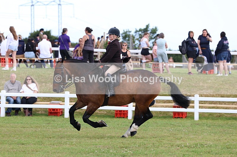 3E7A9886 - Class 5: Rising Star Lightweight/Heavyweight Cobs