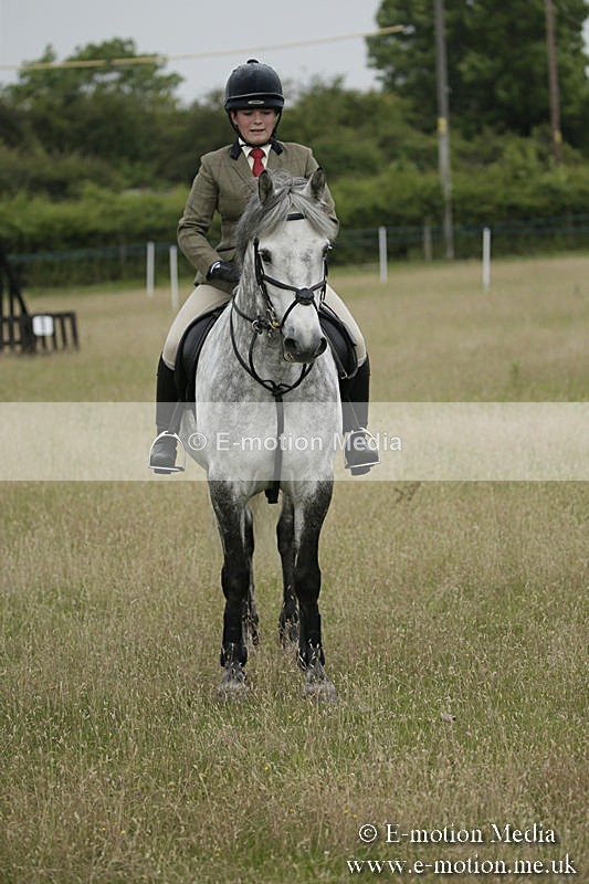 B230619-0129 - Bourne Valley Riding Club Summer Show 23/06/19