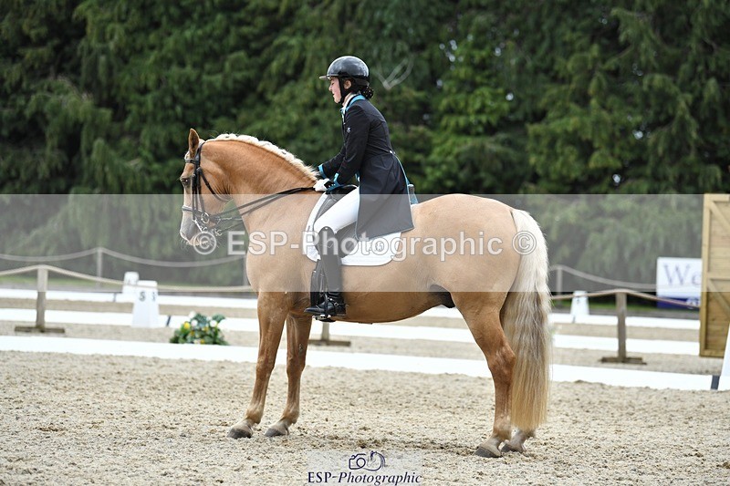 230812-142810-04704 - Cls 7 FEI PSG Bronze